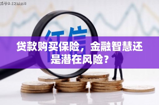 昭平贷款购买保险，金融智慧还是潜在风险？