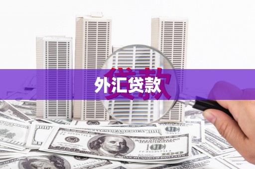 昭平外汇贷款