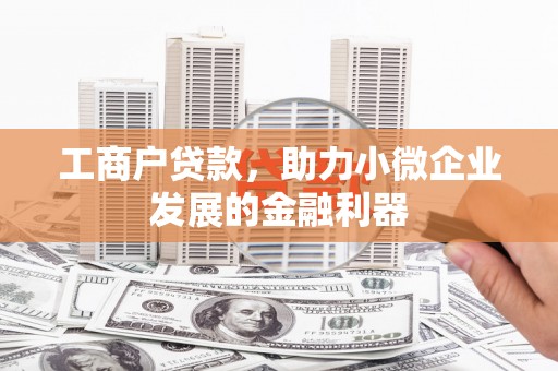 昭平工商户贷款，助力小微企业发展的金融利器