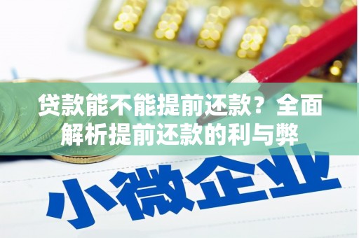 昭平贷款能不能提前还款？全面解析提前还款的利与弊