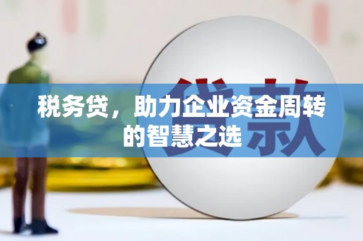 昭平税务贷，助力企业资金周转的智慧之选