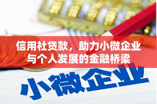 昭平信用社贷款，助力小微企业与个人发展的金融桥梁