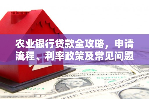 昭平农业银行贷款全攻略，申请流程、利率政策及常见问题解析