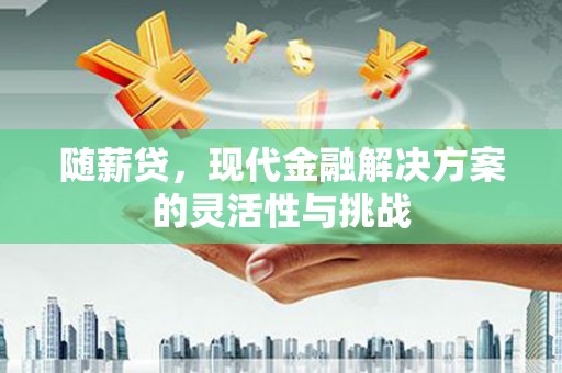 昭平随薪贷，现代金融解决方案的灵活性与挑战