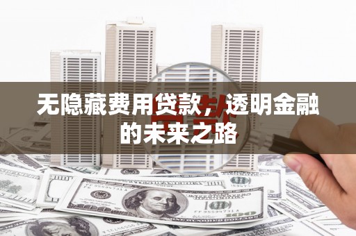 昭平无隐藏费用贷款，透明金融的未来之路