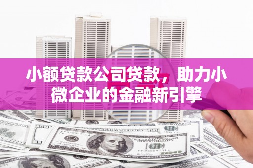 昭平小额贷款公司贷款，助力小微企业的金融新引擎