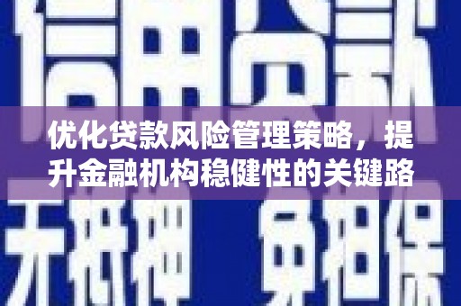 昭平优化贷款风险管理策略，提升金融机构稳健性的关键路径