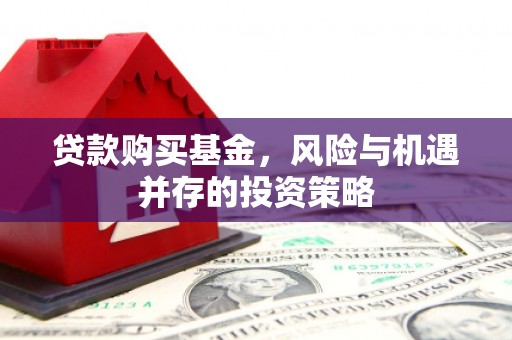 昭平贷款购买基金，风险与机遇并存的投资策略