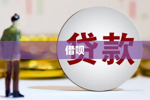 昭平借呗