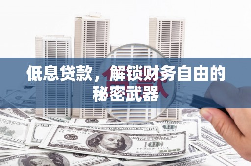 昭平低息贷款，解锁财务自由的秘密武器