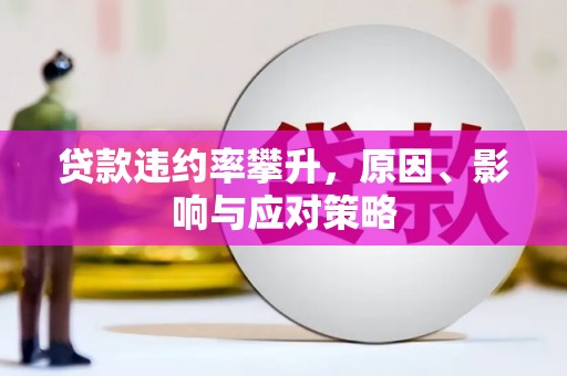 昭平贷款违约率攀升，原因、影响与应对策略