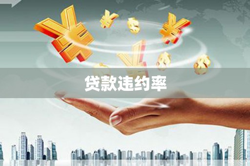 昭平贷款违约率