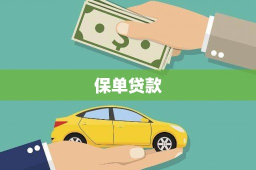 昭平保单贷款