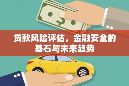 昭平贷款风险评估，金融安全的基石与未来趋势