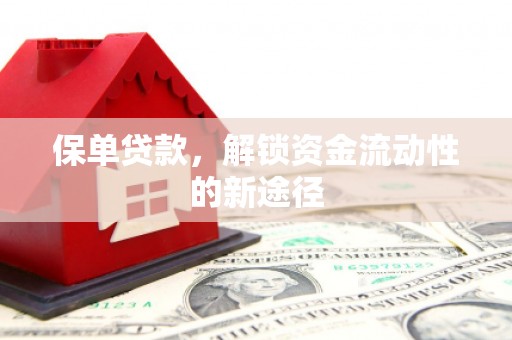 昭平保单贷款，解锁资金流动性的新途径