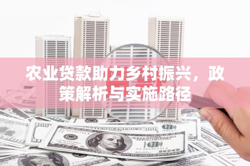 昭平农业贷款助力乡村振兴，政策解析与实施路径