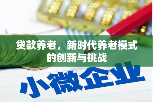 昭平贷款养老，新时代养老模式的创新与挑战