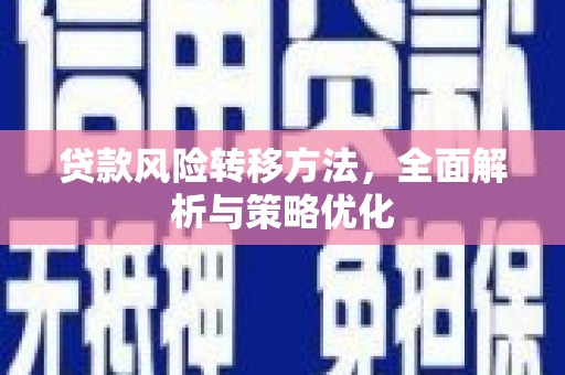 昭平贷款风险转移方法，全面解析与策略优化