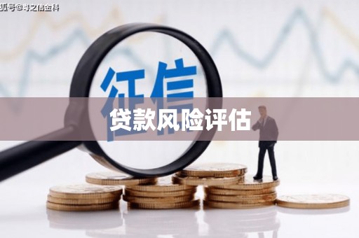 昭平贷款风险评估
