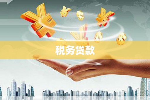昭平税务贷款