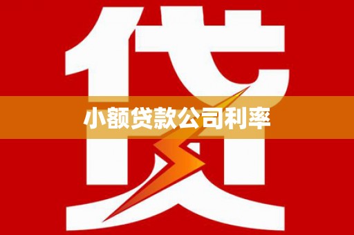 昭平小额贷款公司利率