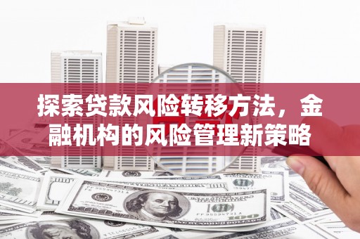 昭平探索贷款风险转移方法，金融机构的风险管理新策略
