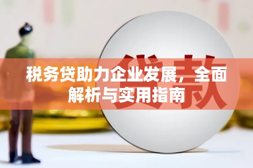 昭平税务贷助力企业发展，全面解析与实用指南