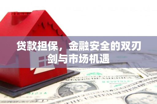 昭平贷款担保，金融安全的双刃剑与市场机遇
