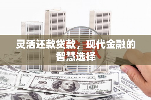 昭平灵活还款贷款，现代金融的智慧选择