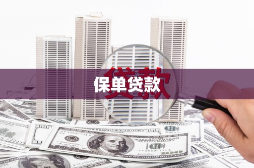 昭平保单贷款