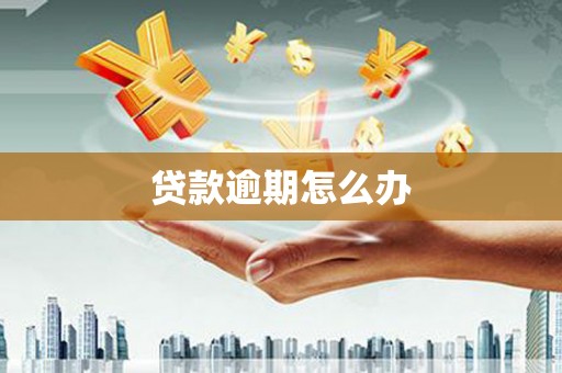 昭平贷款逾期怎么办