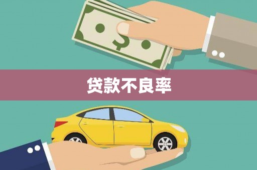 昭平贷款不良率