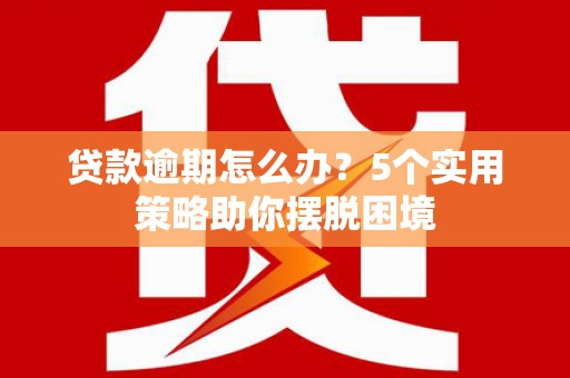 昭平贷款逾期怎么办？5个实用策略助你摆脱困境