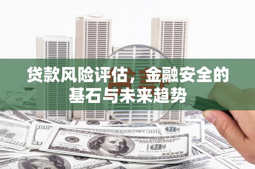 昭平贷款风险评估，金融安全的基石与未来趋势