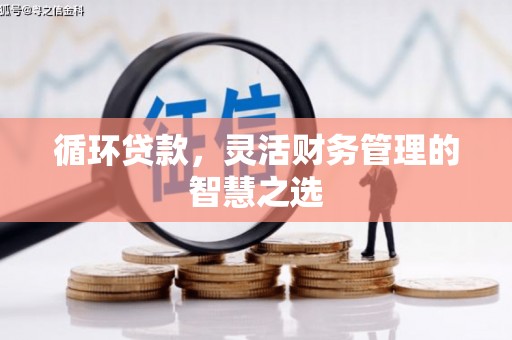 昭平循环贷款，灵活财务管理的智慧之选