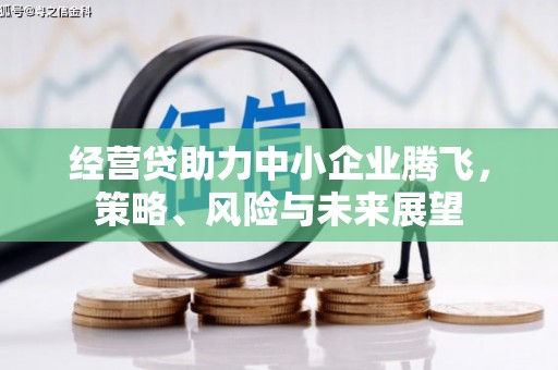 昭平经营贷助力中小企业腾飞，策略、风险与未来展望