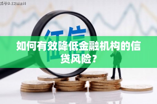 昭平如何有效降低金融机构的信贷风险？