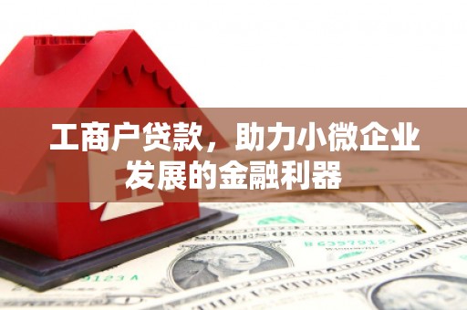 昭平工商户贷款，助力小微企业发展的金融利器
