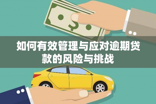 昭平如何有效管理与应对逾期贷款的风险与挑战