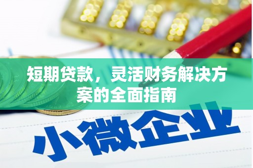 昭平短期贷款，灵活财务解决方案的全面指南