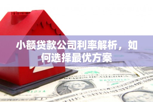 昭平小额贷款公司利率解析，如何选择最优方案