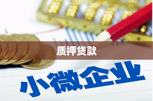 昭平质押贷款