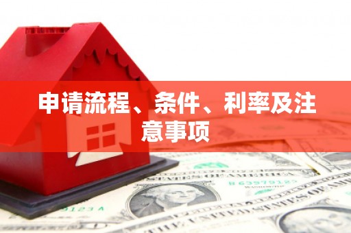 昭平申请流程、条件、利率及注意事项