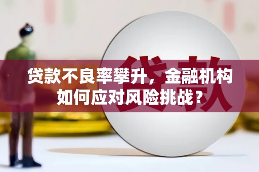 昭平贷款不良率攀升，金融机构如何应对风险挑战？
