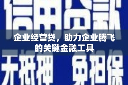 昭平企业经营贷，助力企业腾飞的关键金融工具