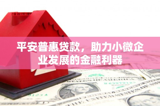 昭平平安普惠贷款，助力小微企业发展的金融利器