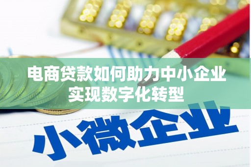 昭平电商贷款如何助力中小企业实现数字化转型