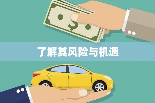 昭平了解其风险与机遇
