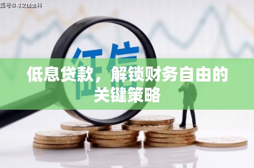 昭平低息贷款，解锁财务自由的关键策略