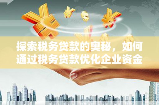 昭平探索税务贷款的奥秘，如何通过税务贷款优化企业资金流